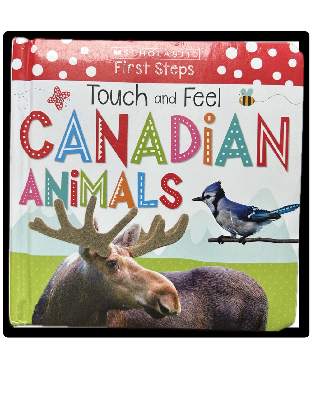 BUNDLE & SAVE 🇨🇦Scholastic First Steps Touch & Feel Canadian Animals Board Book